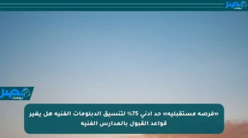 «فرصة مستقبلية» حد أدنى 75% لتنسيق الدبلومات الفنية هل يغير قواعد القبول بالمدارس الفنية
